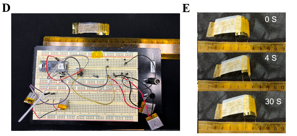 Experimental Results Part 2