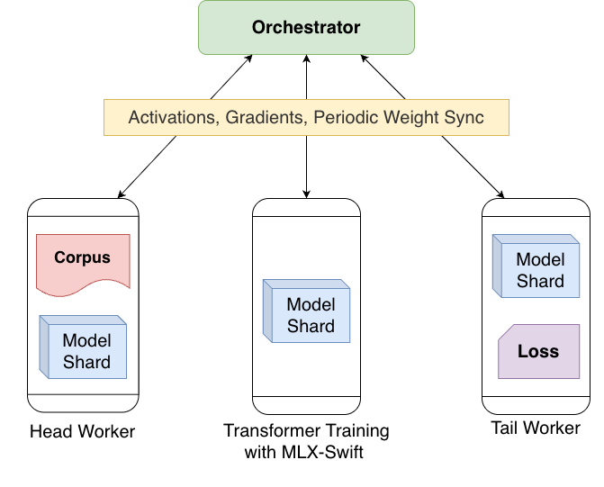 Architecture: an orchestrator and server relay activations, gradients, and periodic weight sync between a head worker, middle workers, and a tail worker, each holding one shard of the model.